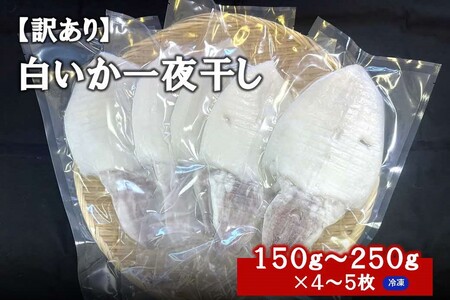 [訳アリ]白いか一夜干し (150g〜250gx4〜5枚)訳アリ 小分け いか 白いか 個包装 一夜干し 産地直送 おつまみ [1962]