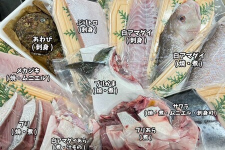 [定期便]どんちっち浜田の鮮魚きわみ 2回お届け 定期便 2回 鮮魚 魚介類 魚貝類 [2016]