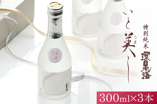 環日本海 特別純米いと美しセット 酒 日本酒 純米酒 いと美し いとうまし 【021_2062】