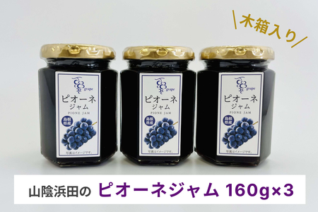 山陰浜田のピオーネジャム 木箱入り ジャム フルーツジャム ピオーネ ぶどう 3個 贈り物 贈答品 [032_2066]