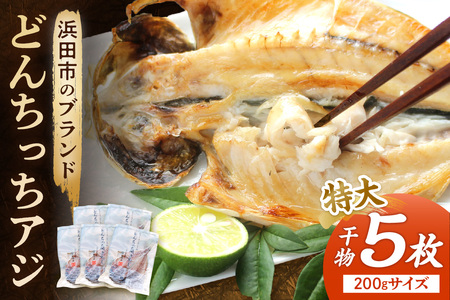 浜田市のブランド「どんちっちアジ」干物特大(200gサイズ)5枚 個包装 魚介類 干物 干もの 開き あじ 厳選 海鮮 セット 個包装 [019_1952]