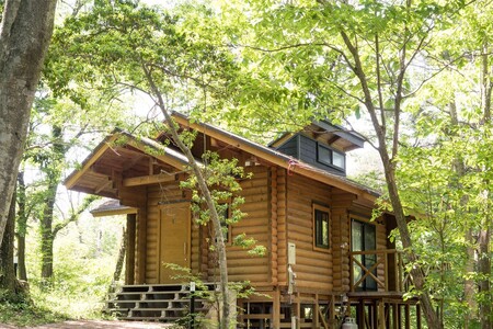 hŖ̂Αł̌hZbgiOnEXꔑ2Hjyt@~[zy201_0003z