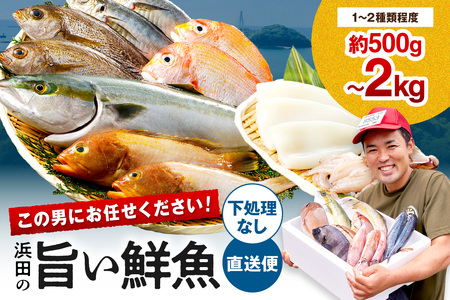 この男にお任せ!浜田の厳選鮮魚お試し便(下処理なし) [006_2054]