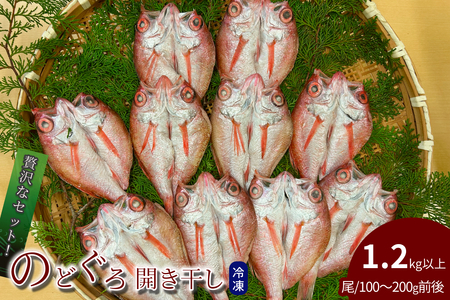 のどぐろ開き干し 1.2kg以上 1尾あたり 100g〜200g前後 [176_1789]