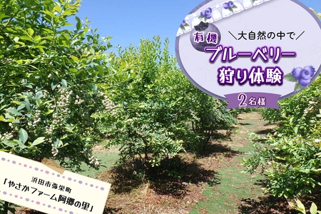 有機ブルーベリー狩り体験2名様(浜田市弥栄町「やさかファーム阿郷の里」) [208_0002]
