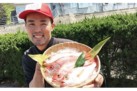 幻の高級魚「のどぐろ(鮮魚)」魚介 のどぐろ 鮮魚 高級魚 魚 旬 期間限定 (のどぐろ )[10]