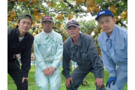 [先行予約]浜田市旭町産赤梨 3.5kg(新高)4〜9玉[10月中旬から発送開始予定] 梨 新高 ナシ 和梨 果物 フルーツ くだもの 先行予約 ふるさと納税 梨 [002_1961]