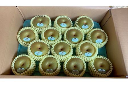 [先行予約]浜田市旭町産赤梨 5kg(幸水)[9月中旬から発送開始予定] 梨 幸水 ナシ 和梨 果物 フルーツ くだもの 先行予約 ふるさと納税 梨 [002_1963]
