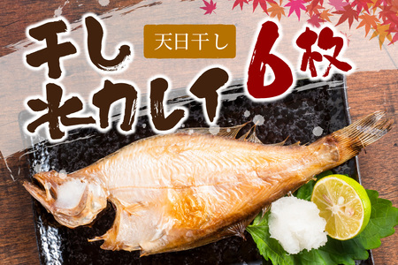 天日(W)干し水カレイ 6枚入り[多田商店] 魚介類 魚貝類 魚 カレイ 水カレイ 干物 干もの [944]