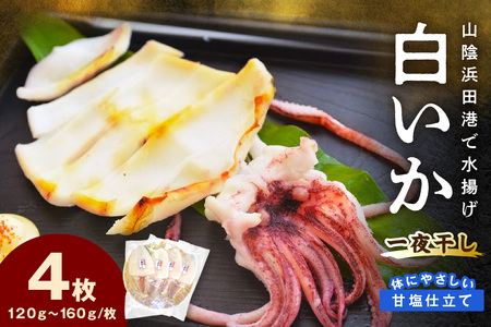 [山陰浜田港・水揚げ]白いか一夜干し(4枚) 魚介類 魚貝類 干物 干もの 一夜干し お中元 お歳暮 白いか 特産品 つまみ 加工品 [136_1996]