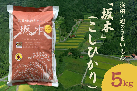 [令和6年産]浜田・旭のうまいもん「坂本」(こしひかり)5kg 米 お米 こしひかり 精米 白米 ごはん 新生活 応援 準備 お取り寄せ 特産 5kg 5キロ [1005]