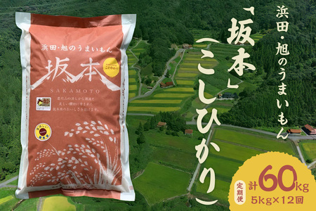 [定期便][令和6年産]浜田・旭のうまいもん「坂本」(こしひかり)5kg×12回 定期便 こしひかり 12回 お取り寄せ 特産 お米 精米 白米 ごはん ご飯 コメ 新生活 応援 準備 [1007]