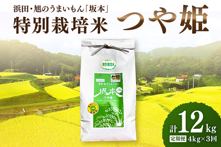 [定期便][令和6年産]浜田・旭のうまいもん「坂本」特別栽培米つや姫 4kg×3回 米 お米 精米 白米 ごはん つや姫 特別栽培米 新生活 応援 準備 [1028]