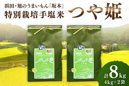 [令和6年産]浜田・旭のうまいもん「坂本」特別栽培手塩米つや姫 4kg×2袋 米 お米 特別栽培米 つや姫 精米 白米 ごはん ふるさと納税 米[1038]