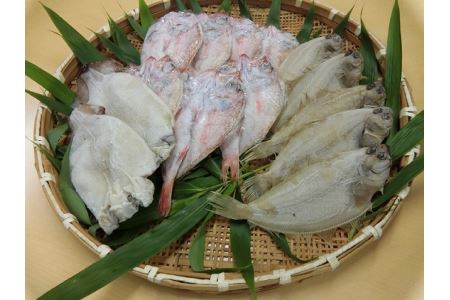 豪華盛り合わせ日本海の美味しい魚づくし 豪華セット 魚介類 魚貝類 干物 干もの 一夜干し 干物セット[1059]