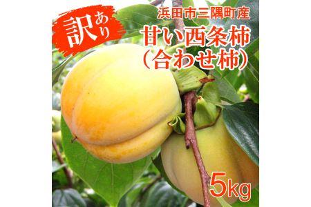 [先行予約]浜田自慢 訳あり甘い西条柿(合わせ柿)5kg[10月中旬発送開始][1169]