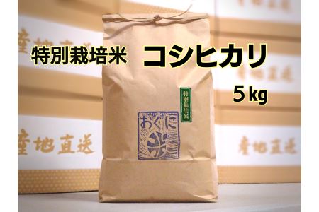 [令和7年産]浜田市金城町産 農家直送特別栽培米 コシヒカリ 5kg 米 お米 精米 白米 ごはん おぐに 新米 新生活 応援 準備 5キロ 特別栽培米 農家直送 [071_2072]