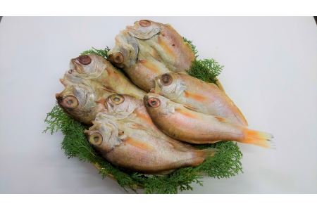 のどぐろの「奉書干し」大 4枚(合計650g〜700g) 魚介類 魚貝類 魚 のどぐろ 干物 干もの 一夜干し (のどぐろ )[1440]