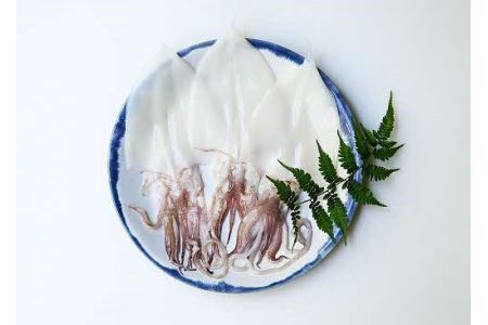 RAlcɖ VCJiPTLCJj銱3y164_1825z