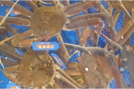 ys\zV́uRAY{CtKjvi2`3tj12`2܂ł̂͂y096_1698z