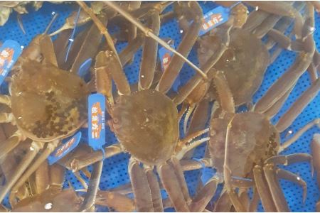 ys\zV́uRAY{CtKjvi3`5tj12`2܂ł̂͂y096_1699z