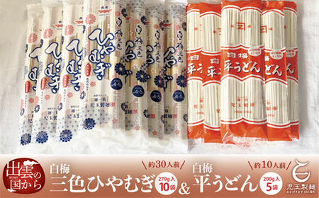 創業百年老舗の味 期間限定「児玉製麺元祖白梅ひやむぎ・うどん」[1-313]