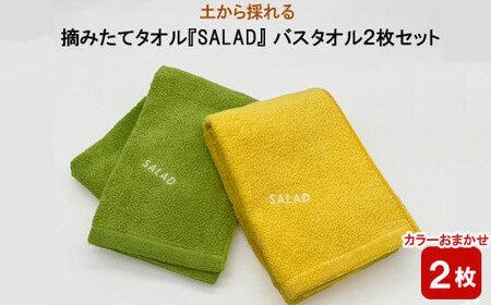 土から採れる 摘みたてタオル 『SALAD』 バスタオル 2枚セット
