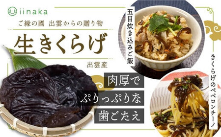 o_sY炰
