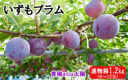 いずもプラム