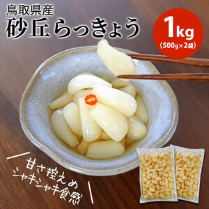 【業務用】鳥取県産砂丘らっきょう　500ｇ×2