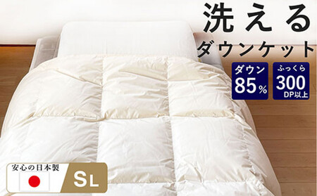 洗える 羽毛 肌掛け布団 1枚 日本製 シングル ダックダウン85% 夏用