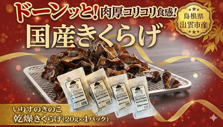 いりすのきのこ　乾燥きくらげ（20g×4パック）