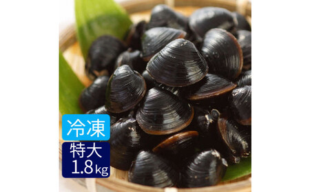 たっぷりエキスの特大しじみ!島根県宍道湖産大和しじみ砂抜き済み