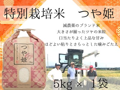 [特別栽培米で減農薬]出雲産つや姫 5kg×1袋[1-105]