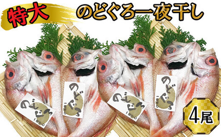 特大 のどぐろ　一夜干し2尾×2箱セット