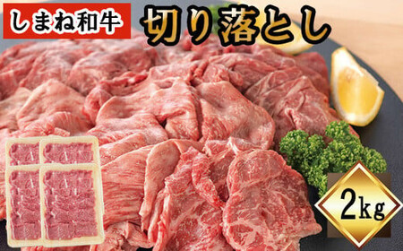 ܂˘a@؂藎Ƃ@2