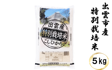 特別栽培米 出雲市産コシヒカリ 5kg[1_1-045]
