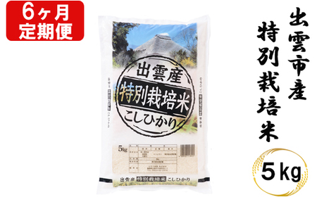 特別栽培米 出雲市産コシヒカリ 5kg×6回 定期便6ヵ月 お米 [6-009]