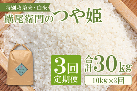 C-1102 yցzq̂P  10kg×3R[XyV   3     ʍ͔| _ ቻw엿 uh P 10kg×3 v30kgz