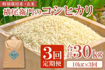 C-1104 yցzq̃RVqJ  10kg×3R[XyV   3    ʍ͔| _ ቻw엿 uh RVqJ 10kg×3 v30kgz