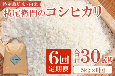 C-1107 yցzq̃RVqJ  5kg×6R[XyV   6     ʍ͔| _ ቻw엿 uh RVqJ 5kg×6 v30kgz