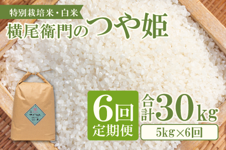 C-1108 yցzq̂P  5kg×6R[XyV   6     ʍ͔| _ ቻw엿 uh P 5kg×6 v30kgz