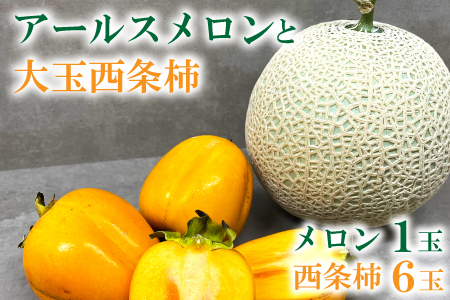 A-644 x14xȏ̃A[XGi1ʂƑʐ`6ʂ̃Zbg