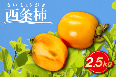 とびっきり甘い西条柿 2.5kg
