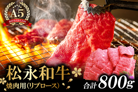 D-296 松永和牛 A5ランク 焼肉 800g【牛肉 焼肉 黒毛和牛 リブロース ロース 赤身 冷凍 焼肉用 800g ご褒美 贅沢 肉 和牛 松永和牛 まつなが牛 A5ランク お祝い 特別な日 ご馳走 パーティー セット 松永牧場】