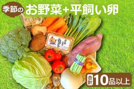 新鮮!季節のお野菜と平飼い卵のセット(10〜12品)[野菜 10〜12品以上 季節の野菜 旬 新鮮 取れたて お楽しみ 卵 たまご 平飼い卵 10個 破損保証 4個 詰め合わせ セット 冷蔵]