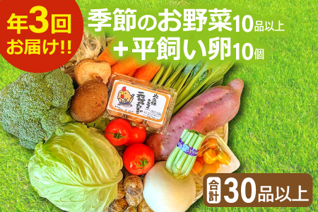 [3回定期便]季節のお野菜と平飼い卵のセット (10~12品) [定期便 コース 野菜 やさい 旬 季節 おまかせ 採れたて 減農薬 減化学肥料 新鮮 10〜12品 卵 たまご 平飼い 個 破損保証 4個 詰め合わせ セット 冷蔵 全3回 定期]