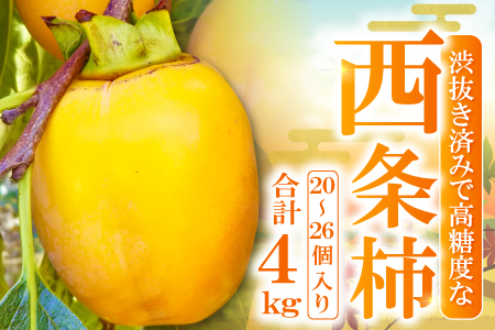 益田産 最上級の甘さの西条柿 4kg(20〜26個入り)
