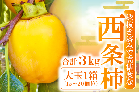 益田産 最上級の甘さの西条柿 3kg入り