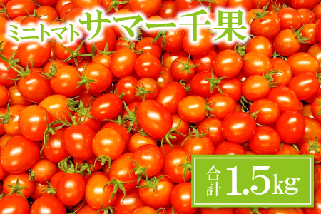 ミニトマト(サマー千果)1.5kg